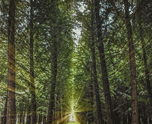 佛山会一旧翻新装修