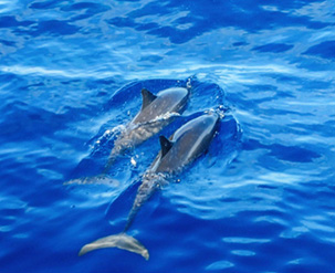 旧翻新装修要多久