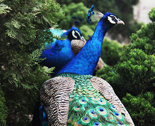 二手房翻新需要多少钱