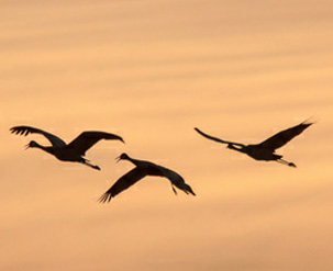 佛山旧翻新多少钱