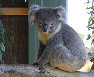 佛山旧翻新价格